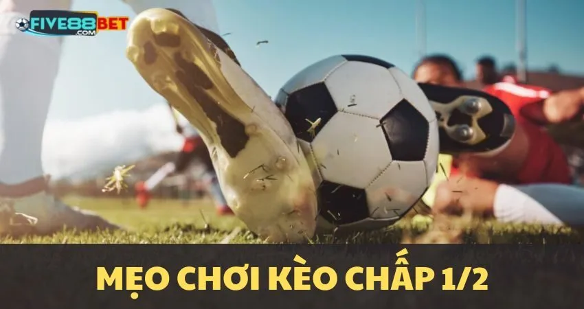 Cách bắt kèo chấp 1/2 hiệu quả tại Five88