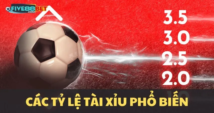 Tổng quan kèo tài xỉu