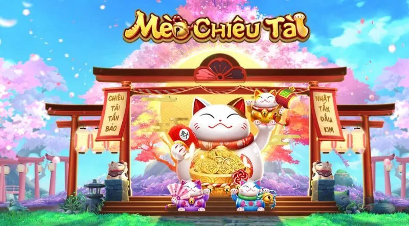 Giới thiệu tổng quan về Mèo Chiêu Tài Five88